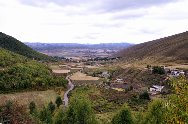 DSC_0339a.jpg