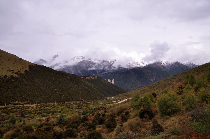 DSC_0327a.jpg