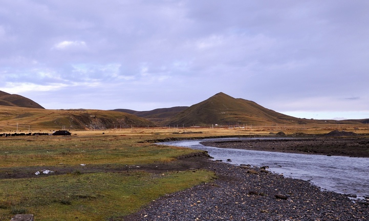DSC_0384a.jpg