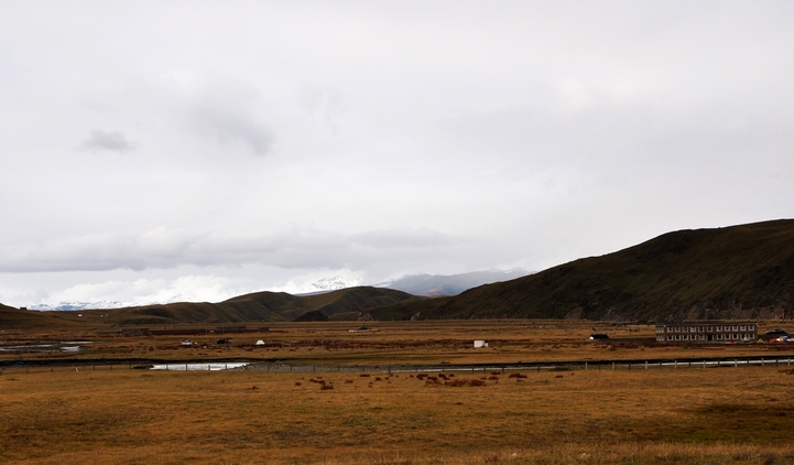 DSC_0351a.jpg