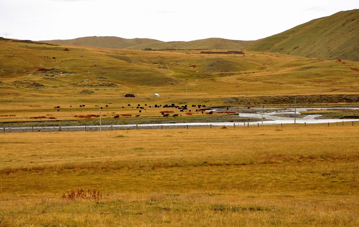 DSC_0352a.jpg