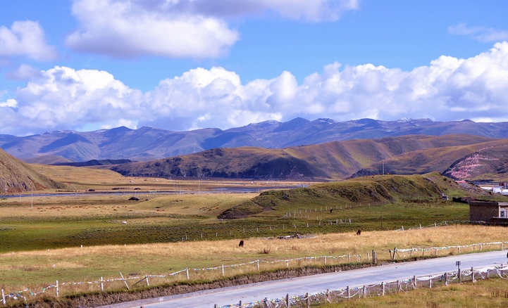 DSC_0494a.jpg