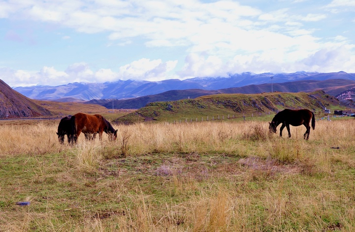 DSC_0425a.jpg