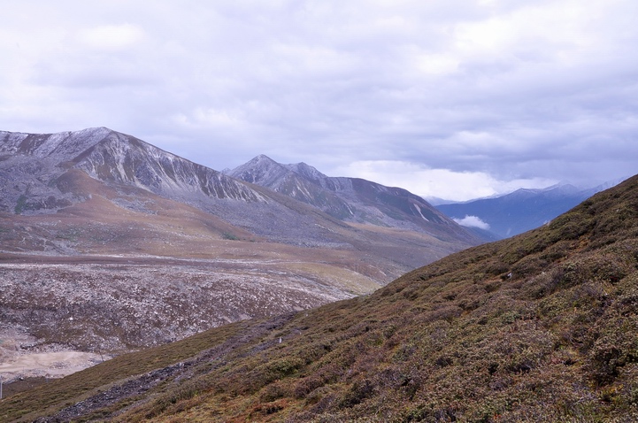 DSC_0529a.jpg