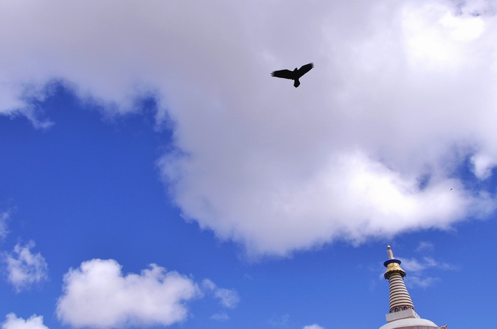 DSC_0511a.jpg