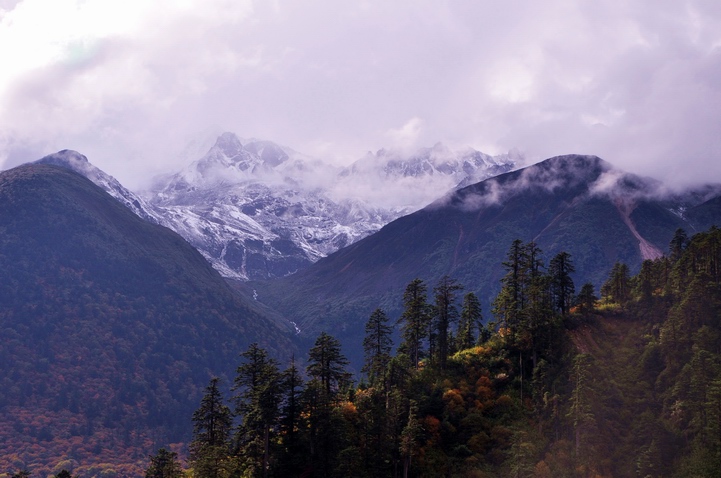 DSC_0326a.jpg
