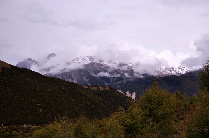 DSC_0328a.jpg