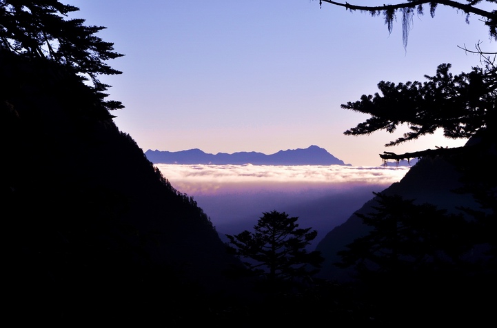 DSC_0649a.jpg