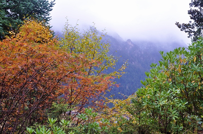 DSC_0207a.jpg
