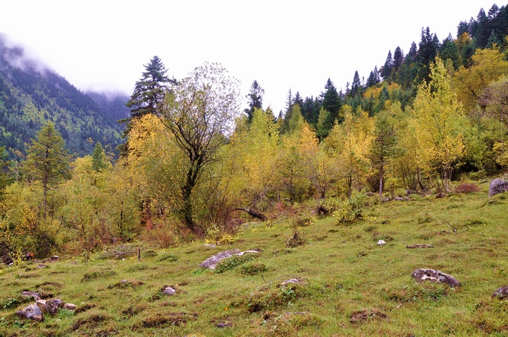 DSC_0219a.jpg