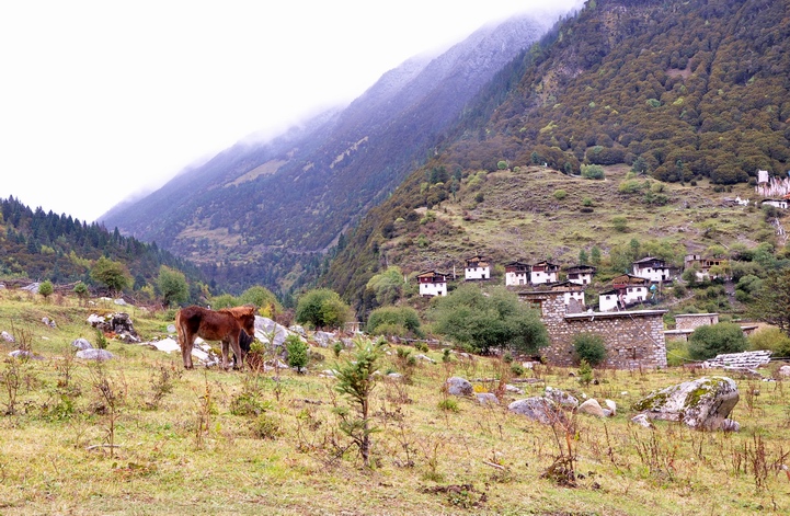 DSC_0227a.jpg