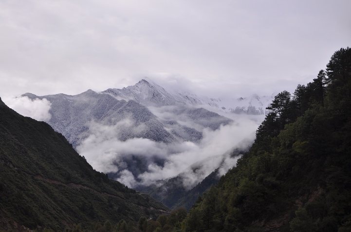 DSC_0276a.jpg