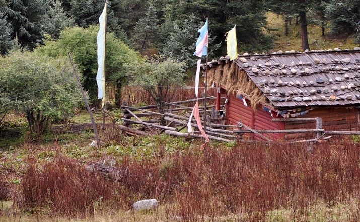 DSC_0228a.jpg