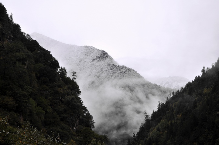 DSC_0254a.jpg