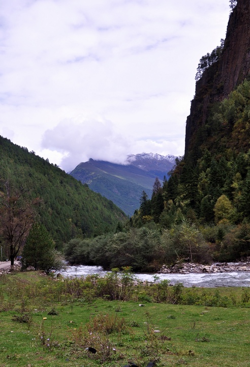 DSC_0316a.jpg