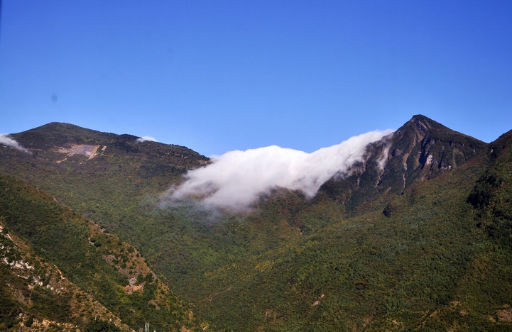 DSC_0895a.jpg