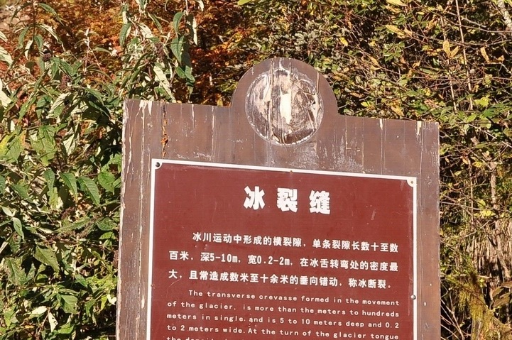 DSC_0816a.jpg