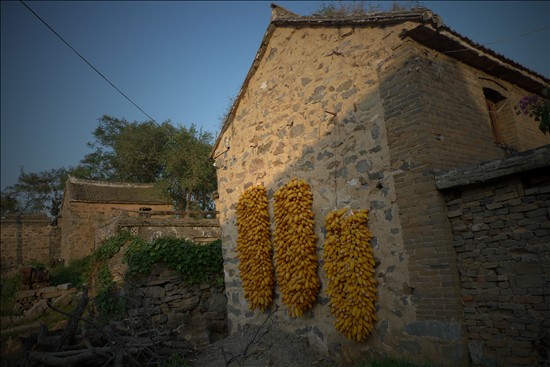 L1020110_����.jpg