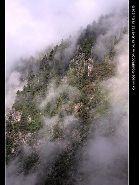 DPP_0373.jpg