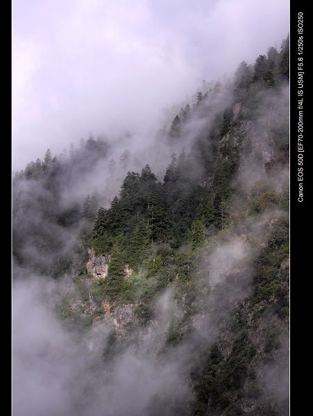 DPP_0377.jpg