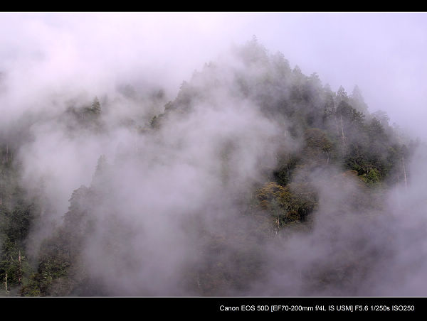 DPP_0376.jpg