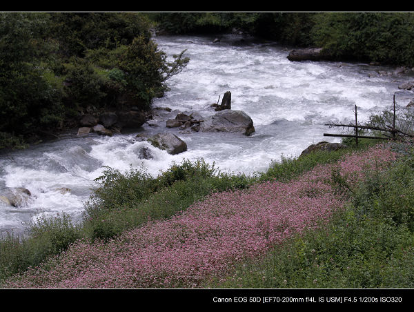 _MG_1950.jpg