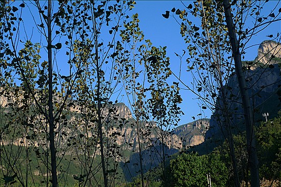 L1020868_����.jpg