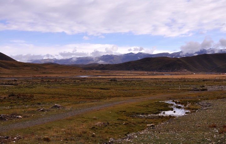 DSC_0401.jpg