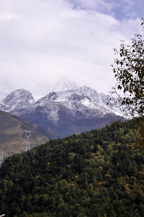 DSC_0545.jpg