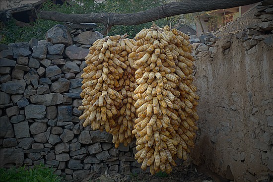 L1020128_����.jpg