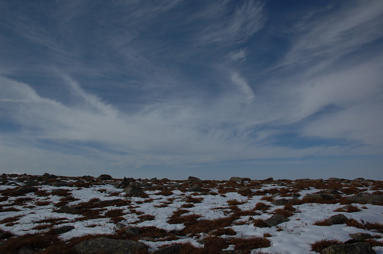 DSC_0227.jpg