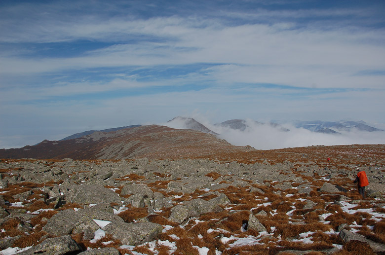 DSC_0234.jpg