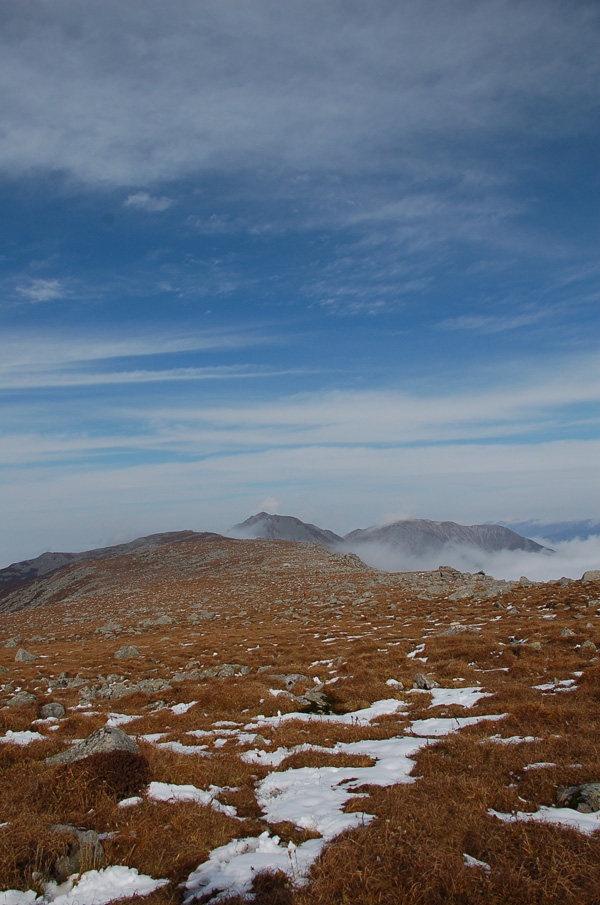 DSC_0248.jpg