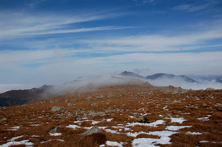 DSC_0245.jpg