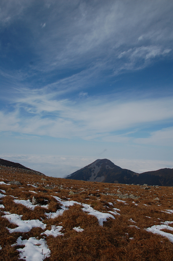 DSC_0247.jpg