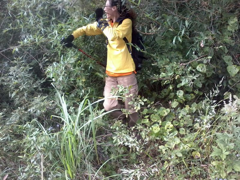 ��Ƭ3067_001.jpg