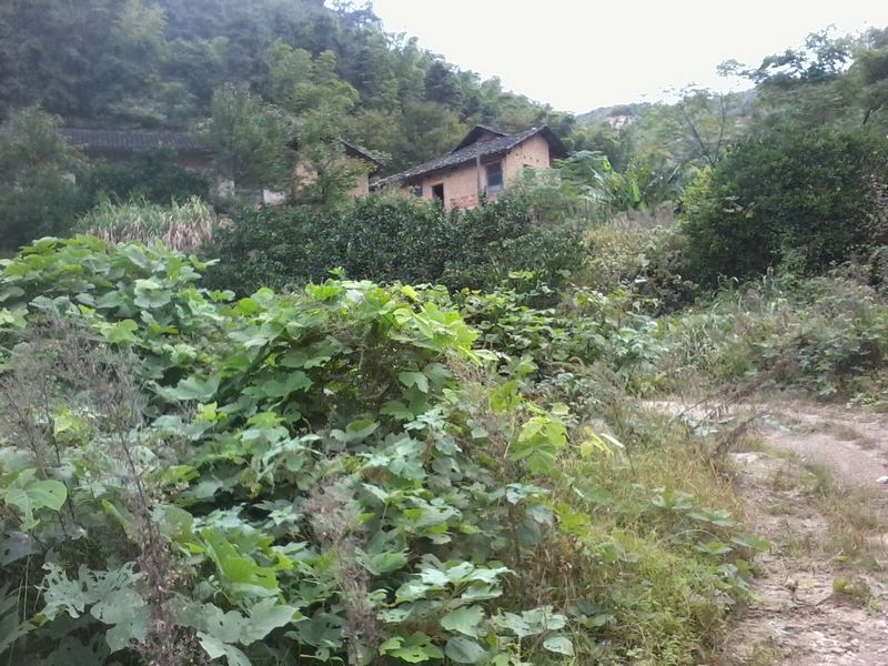 ��Ƭ3071_001.jpg