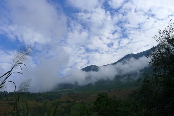 conew_p1010410.jpg