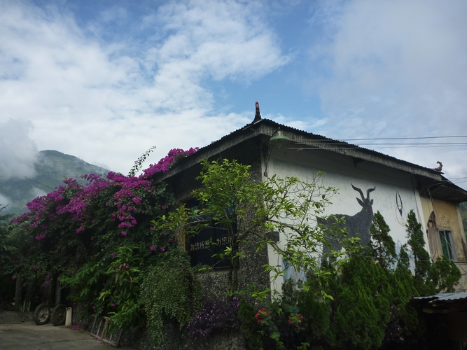 P1090645.jpg