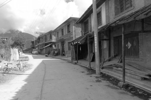 conew_p1010505.jpg