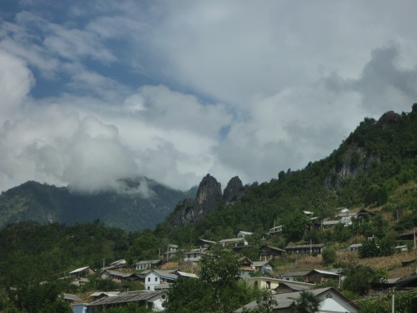 conew_p1090704.jpg