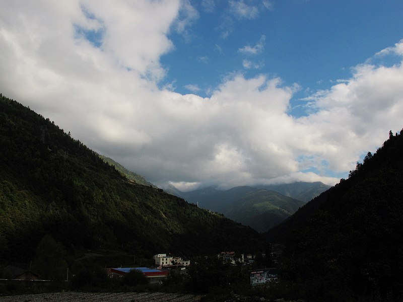 IMG_0305.jpg