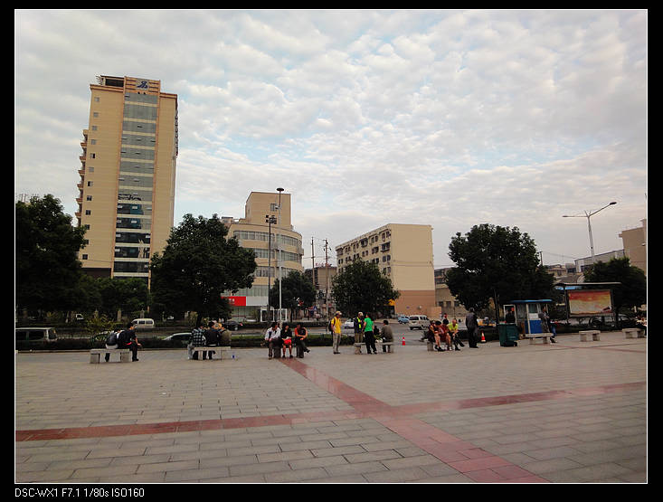 DSC09857.jpg