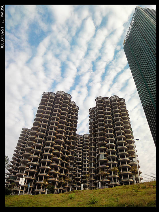DSC09885.jpg
