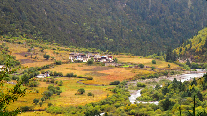 IMG_0371.jpg