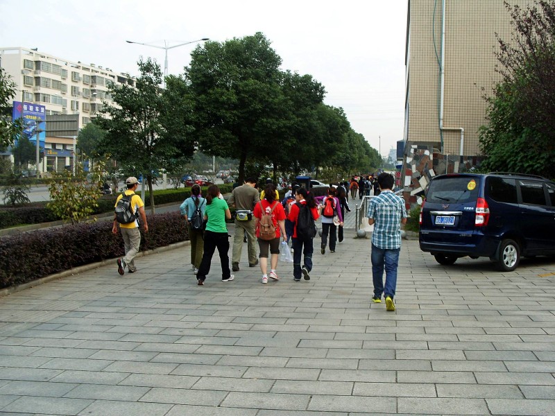 conew_s1053730.jpg