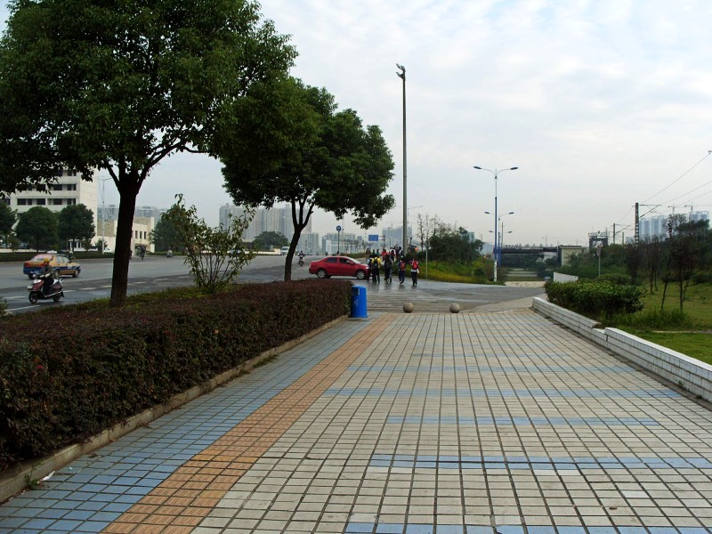 conew_s1053732.jpg