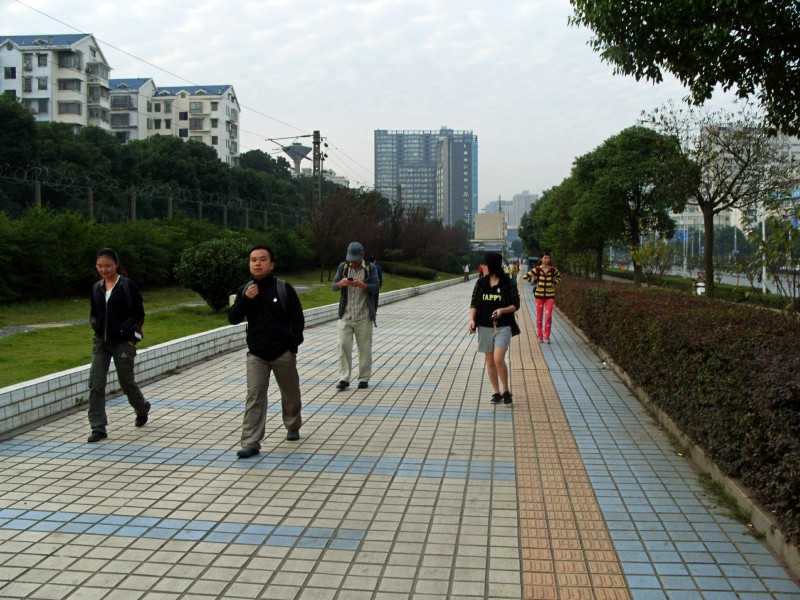 conew_s1053733.jpg