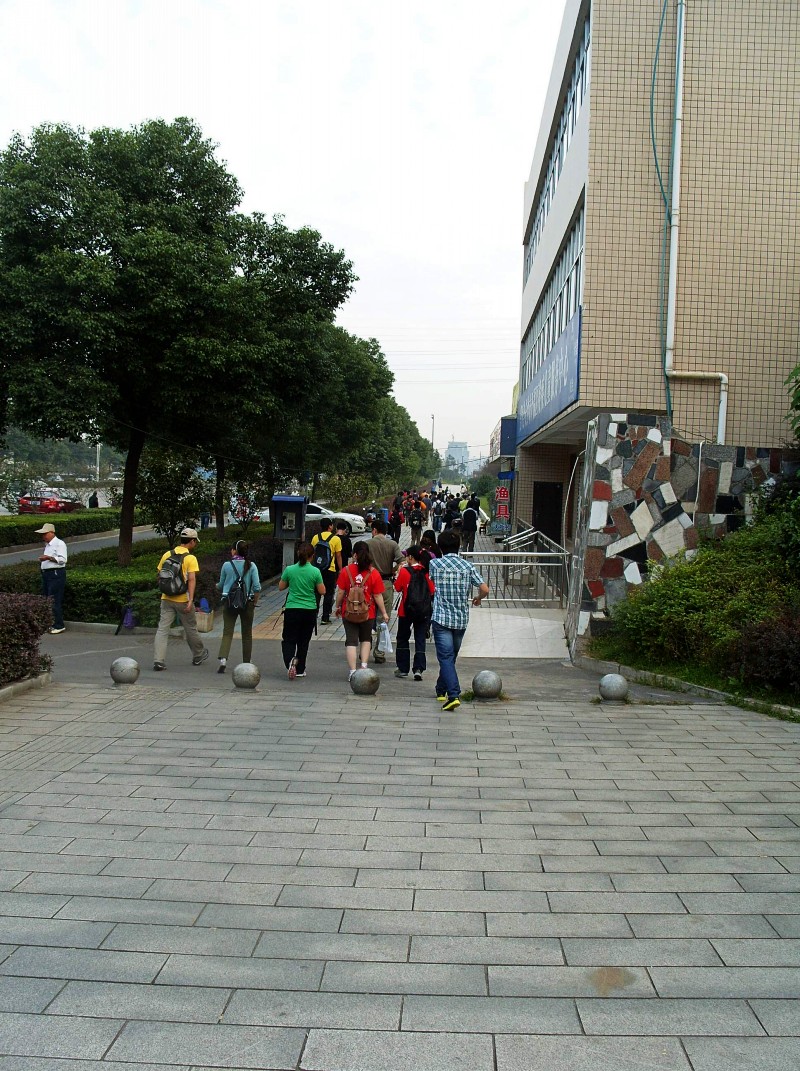 conew_s1053731.jpg