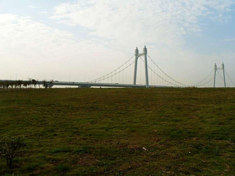 conew_s1053738.jpg